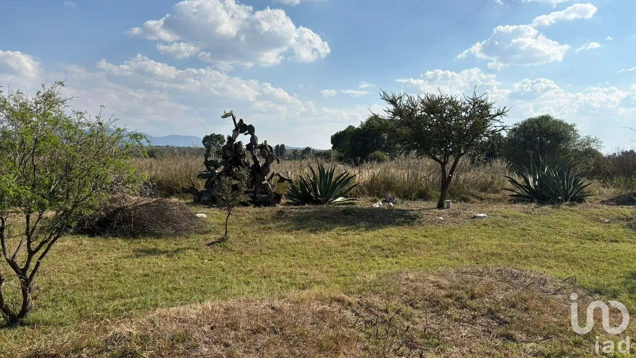 Terreno en Venta en La Granada, Apaseo el Alto, Guanajuato | NEX-188283 | iad México | Foto 2 de 13