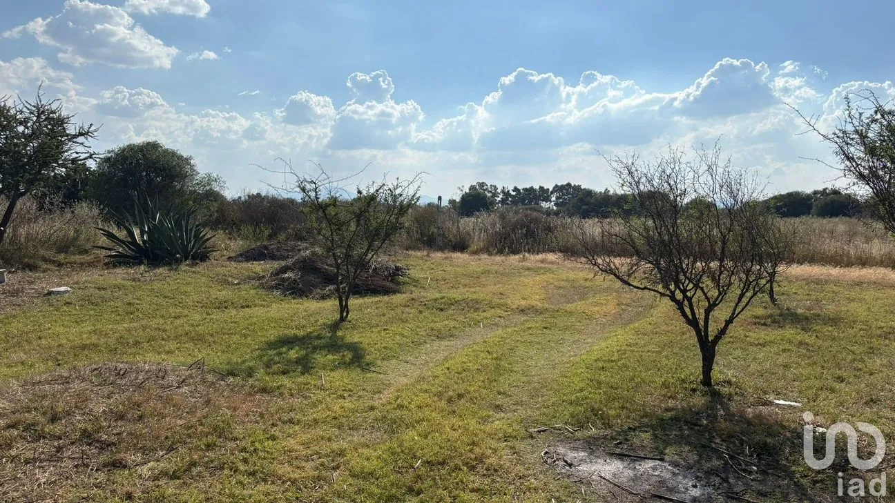 Terreno en Venta en La Granada, Apaseo el Alto, Guanajuato | NEX-188283 | iad México | Foto 3 de 13