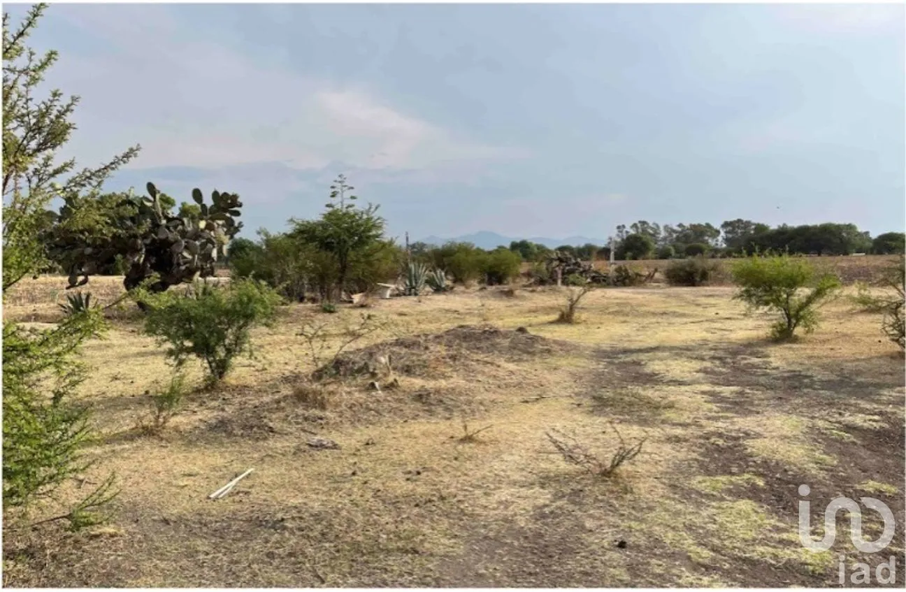 Terreno en Venta en La Granada, Apaseo el Alto, Guanajuato | NEX-188283 | iad México | Foto 6 de 13