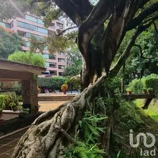 NEX-181034 - Departamento en Renta, con 3 recamaras, con 3 baños, con 157 m2 de construcción en Rancho Cortes, CP 62120, Morelos.