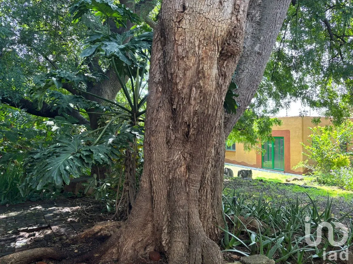 Casa en Venta en Lomas de La Selva, Cuernavaca, Morelos | NEX-297270 | iad México | Foto 13 de 18