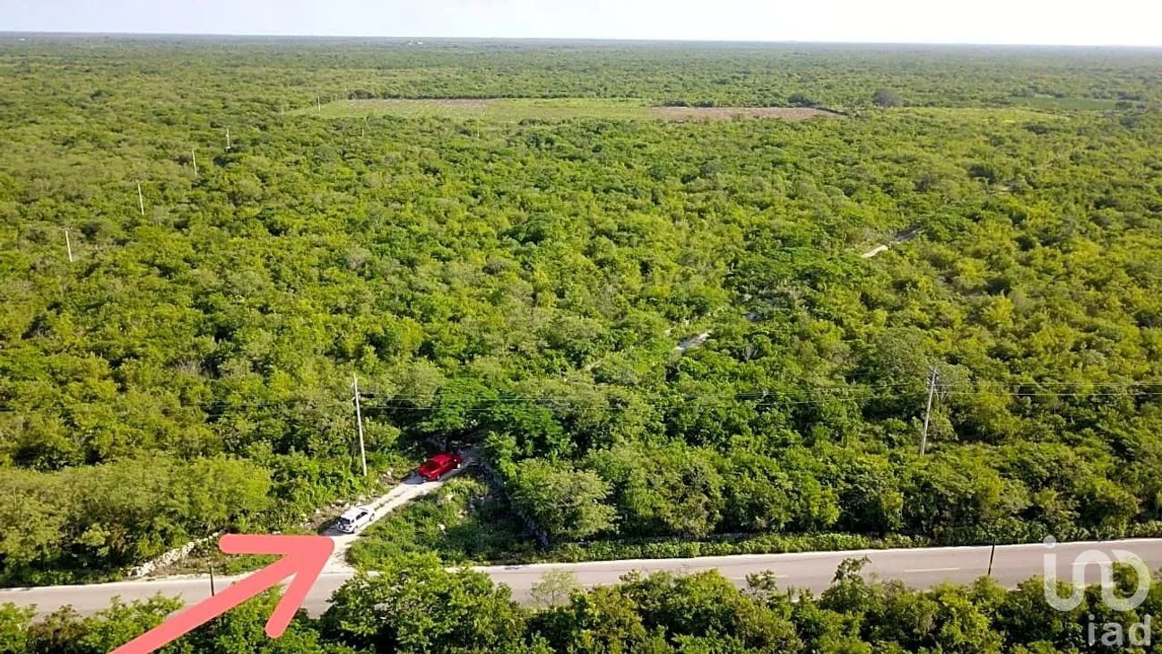 Terreno en Venta en Yobaín, Yobaín, Yucatán | NEX-254153 | iad México | Foto 2 de 6