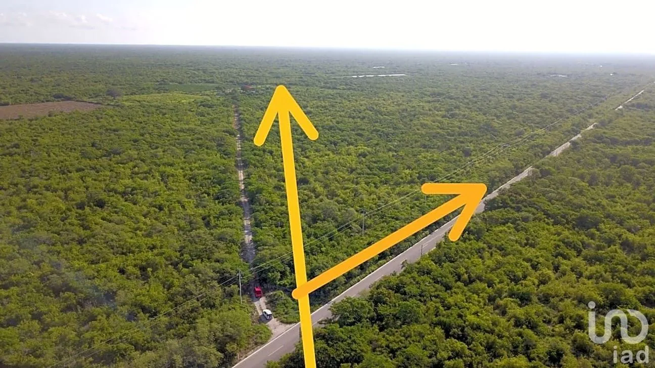 Terreno en Venta en Yobaín, Yobaín, Yucatán | NEX-254153 | iad México | Foto 5 de 6