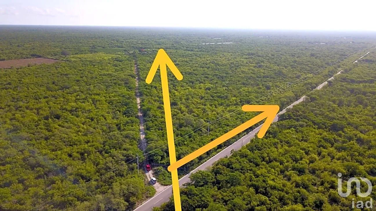 Terreno en Venta en Yobaín, Yobaín, Yucatán | NEX-254153 | iad México | Foto 6 de 6
