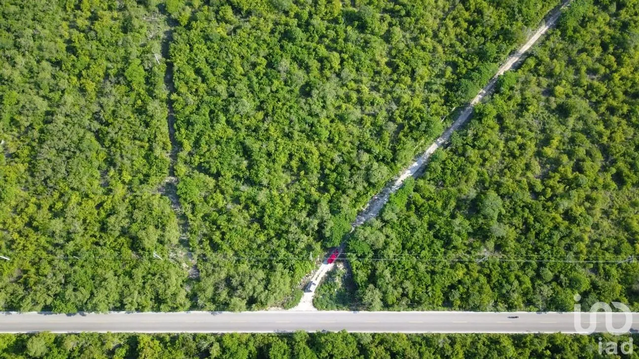 Terreno en Venta en Yobaín, Yobaín, Yucatán | NEX-254153 | iad México | Foto 1 de 6