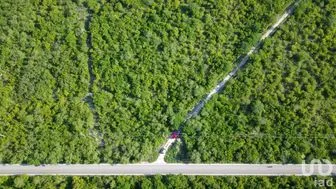 NEX-254153 - Terreno en Venta en Yobaín, CP 97425, Yucatán.