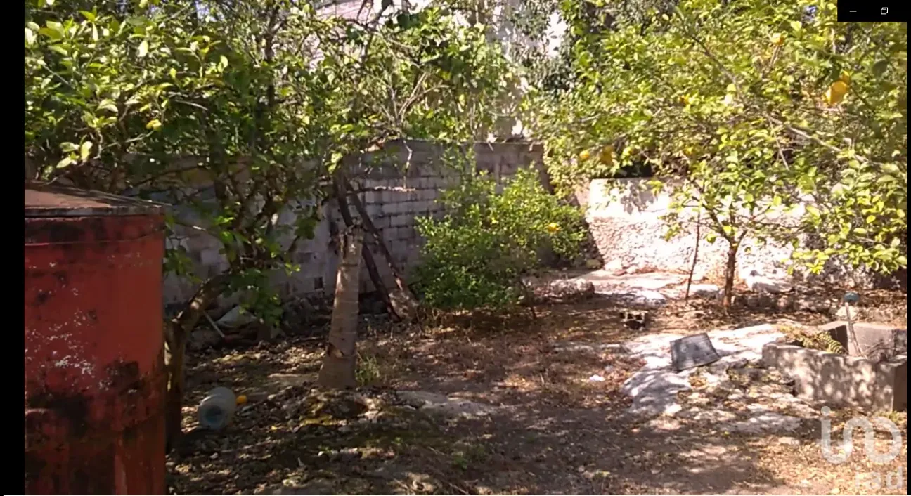 Casa en Venta en Panaba, Panabá, Yucatán | NEX-26040 | iad México | Foto 5 de 6