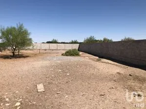 NEX-262689 - Terreno en Venta en San Agustín, CP 32721, Chihuahua.