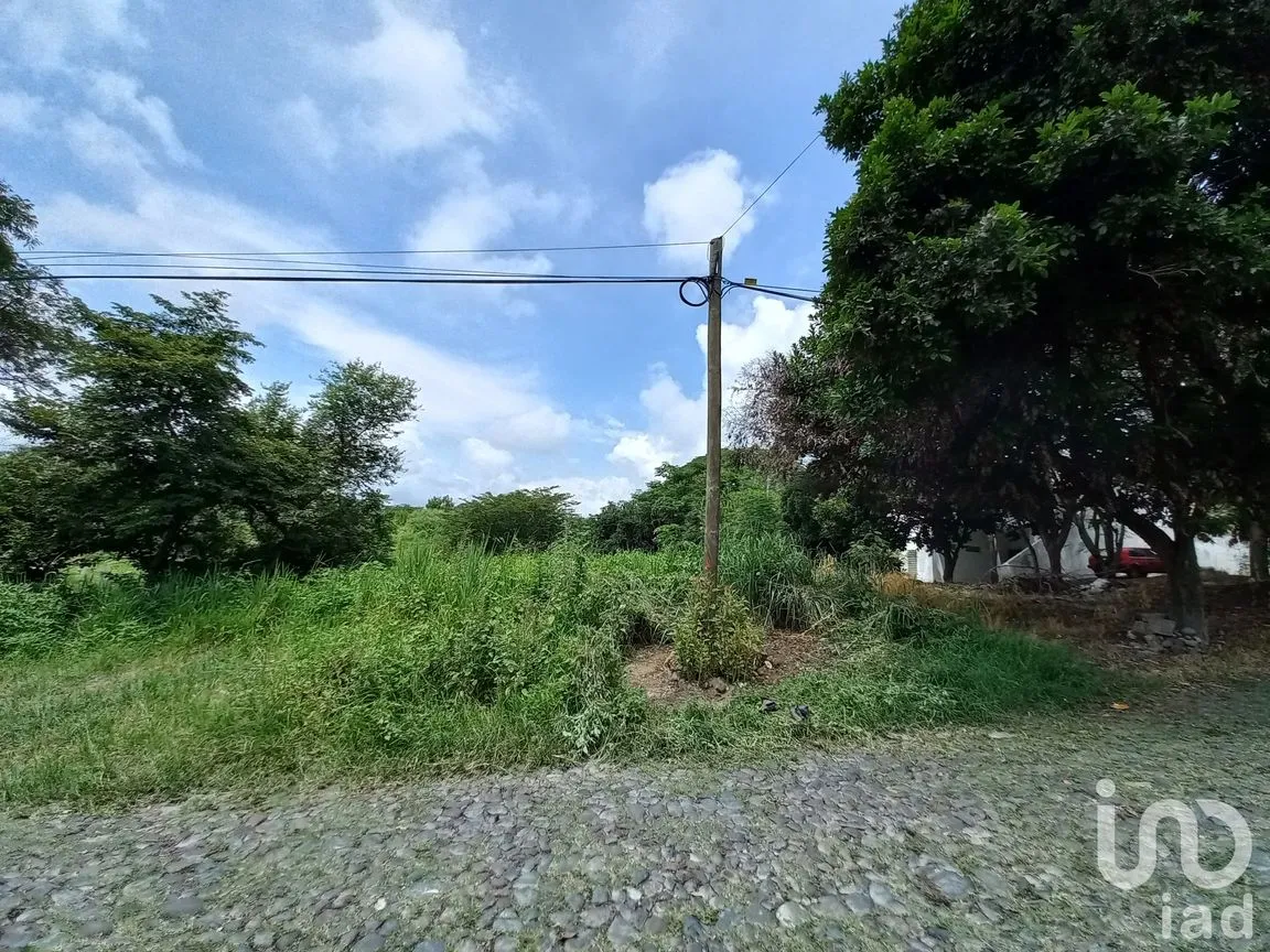 Terreno en Venta en Lomas de Comala, Comala, Colima | NEX-185080 | iad México | Foto 2 de 6