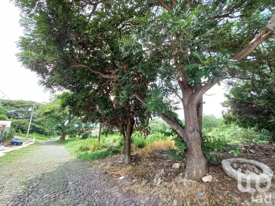 Terreno en Venta en Lomas de Comala, Comala, Colima | NEX-185080 | iad México | Foto 3 de 6