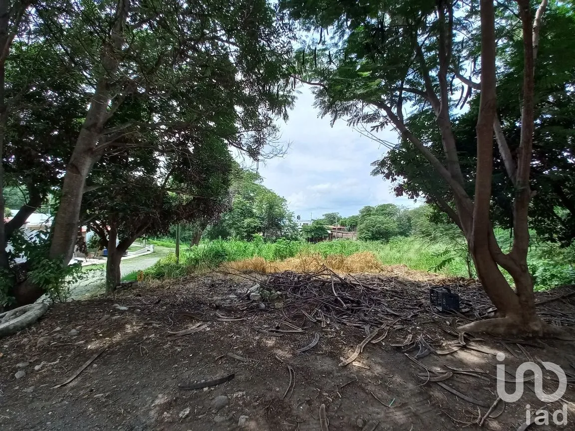 Terreno en Venta en Lomas de Comala, Comala, Colima | NEX-185080 | iad México | Foto 4 de 6