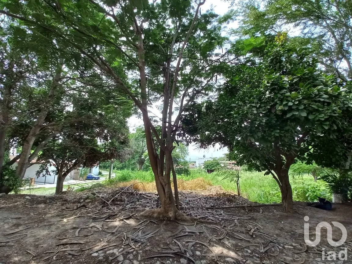 Terreno en Venta en Lomas de Comala, Comala, Colima | NEX-185080 | iad México | Foto 5 de 6