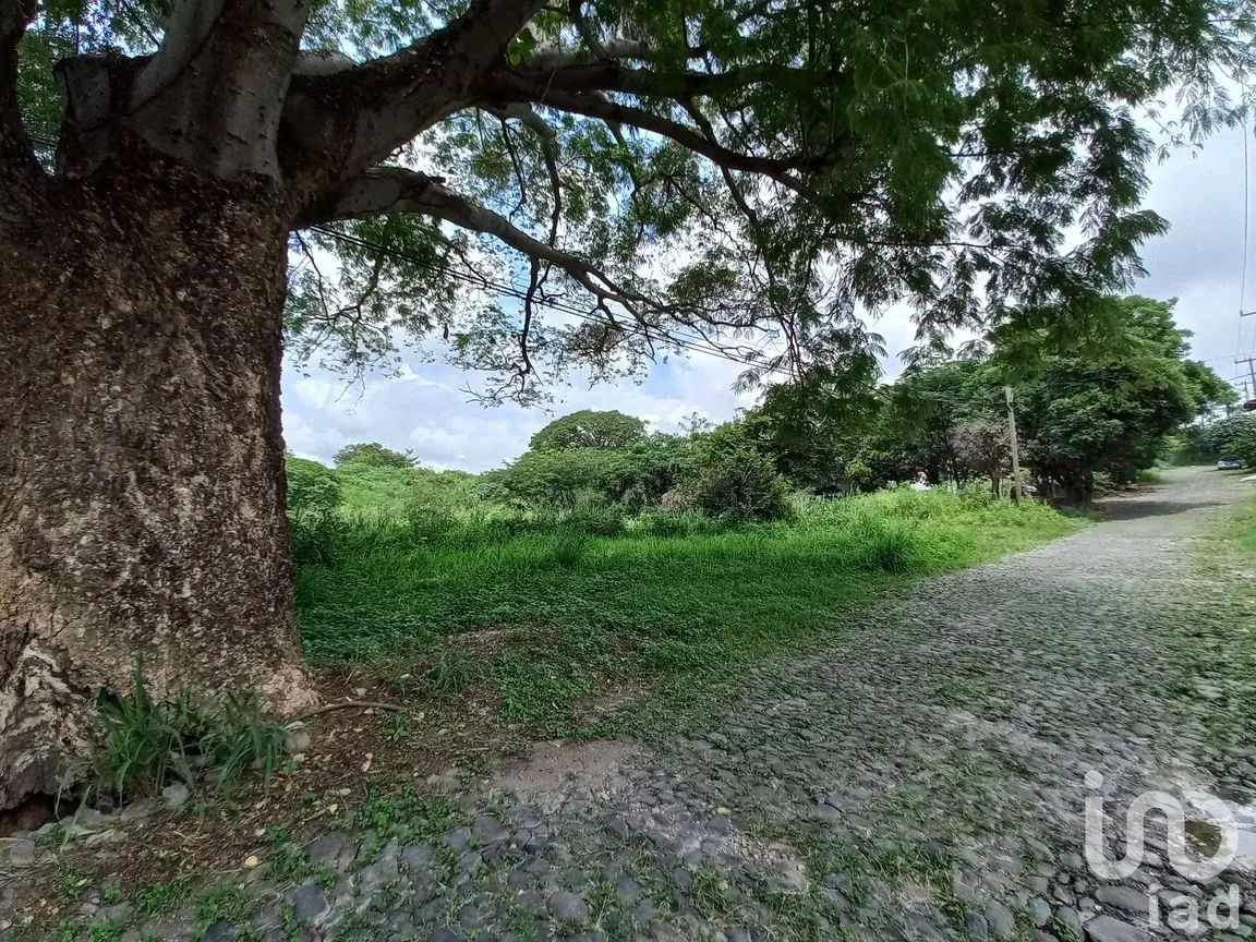 Terreno en Venta en Lomas de Comala, Comala, Colima | NEX-185080 | iad México | Foto 6 de 6