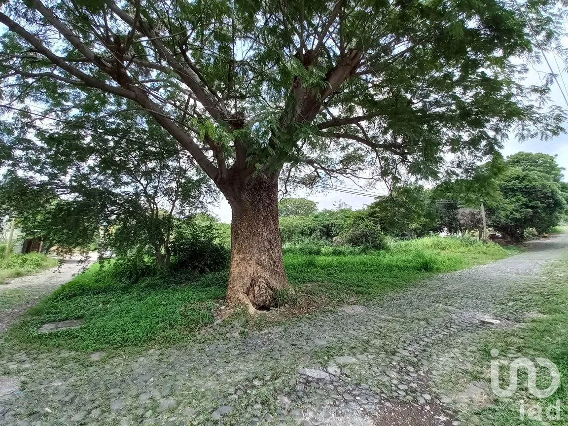 Terreno en Venta en Lomas de Comala, Comala, Colima | NEX-185080 | iad México | Foto 1 de 6