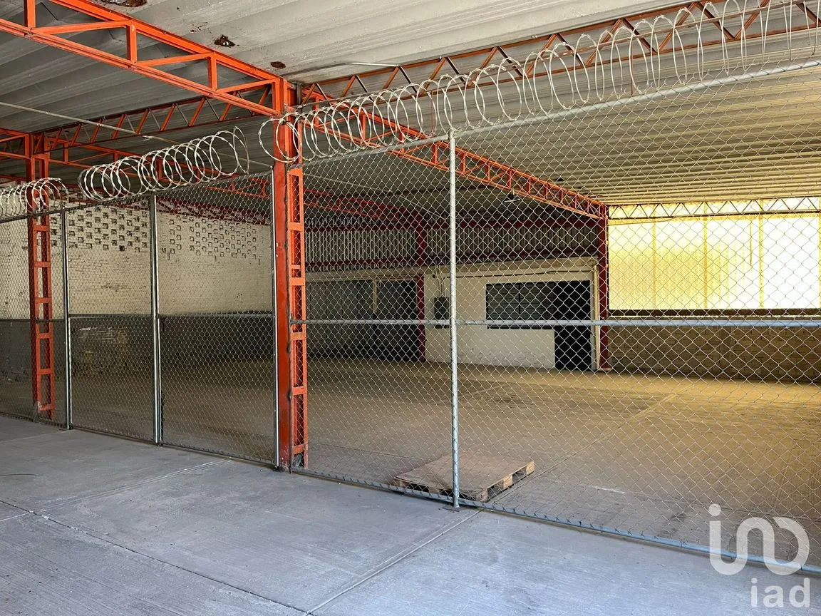 Bodega en Renta en Salagua, Manzanillo, Colima | NEX-247645 | iad México | Foto 8 de 21