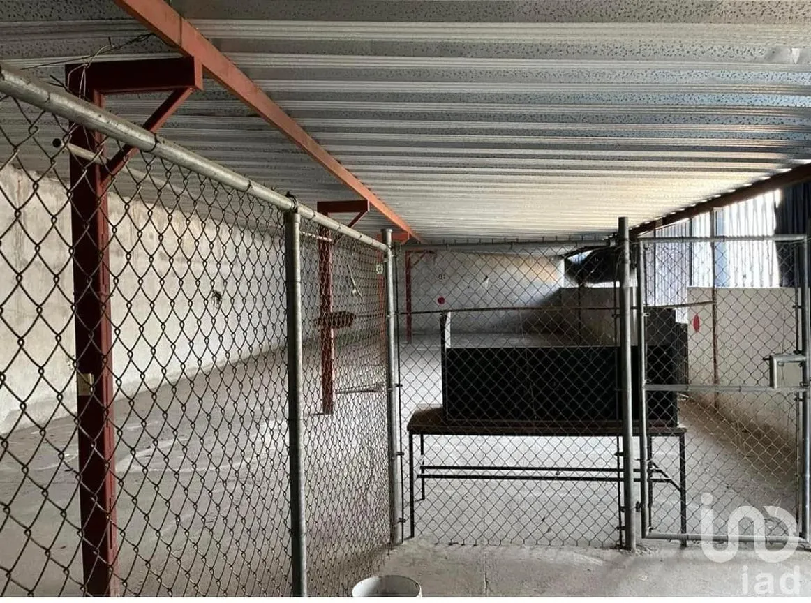 Bodega en Renta en De los Trabajadores, Colima, Colima | NEX-249376 | iad México | Foto 5 de 6