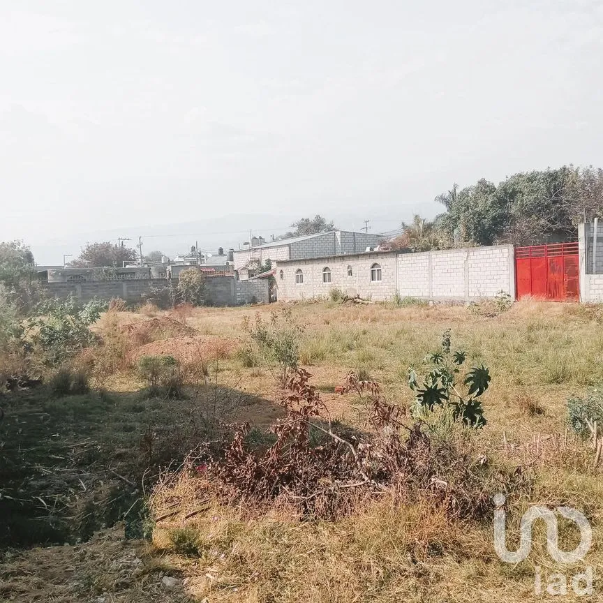 Terreno en Venta en Cuauhtempan (San Andrés Cuautempan), Tlayacapan, Morelos | NEX-246001 | iad México | Foto 2 de 8