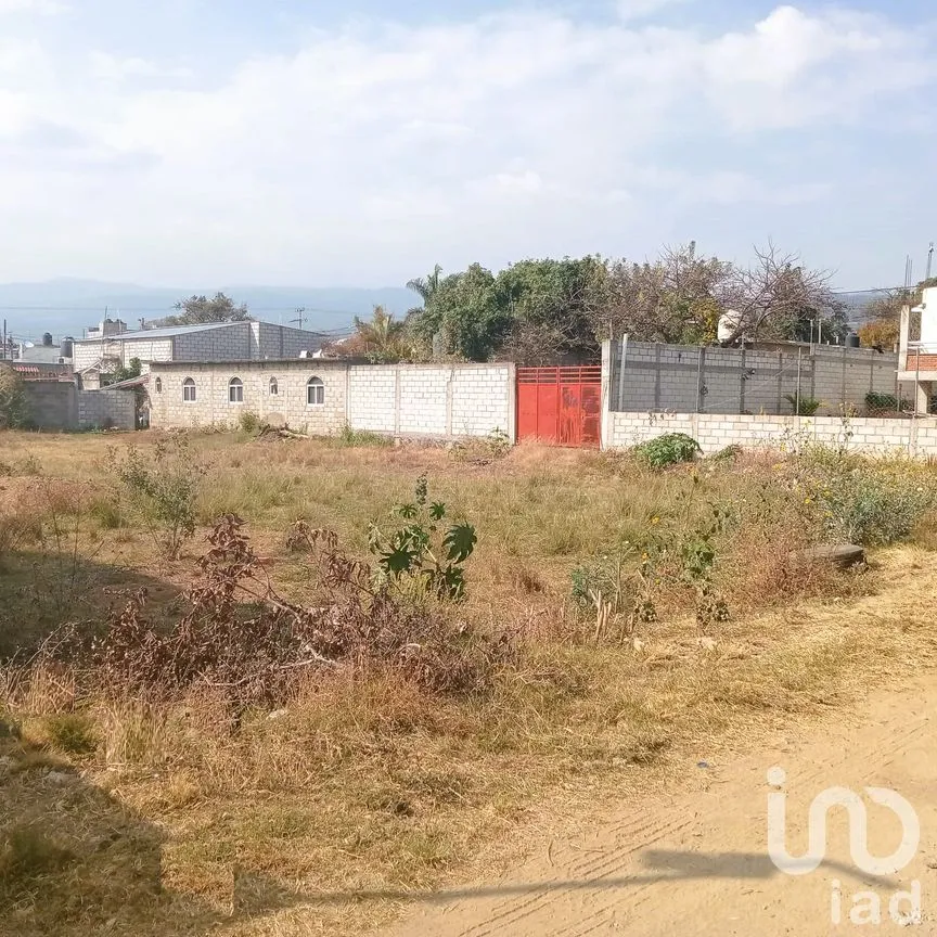 Terreno en Venta en Cuauhtempan (San Andrés Cuautempan), Tlayacapan, Morelos | NEX-246001 | iad México | Foto 3 de 8