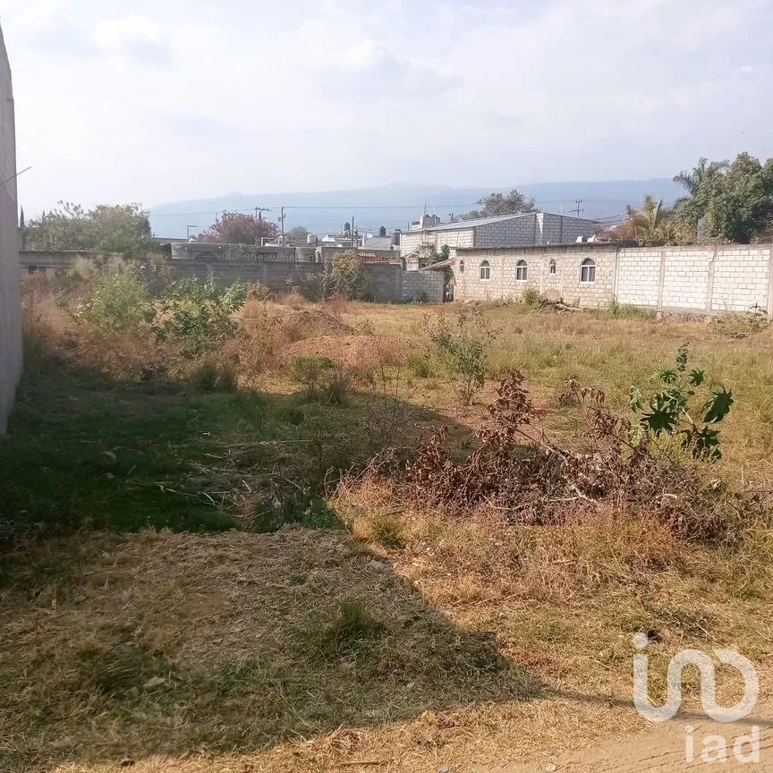 Terreno en Venta en Cuauhtempan (San Andrés Cuautempan), Tlayacapan, Morelos | NEX-246001 | iad México | Foto 4 de 8
