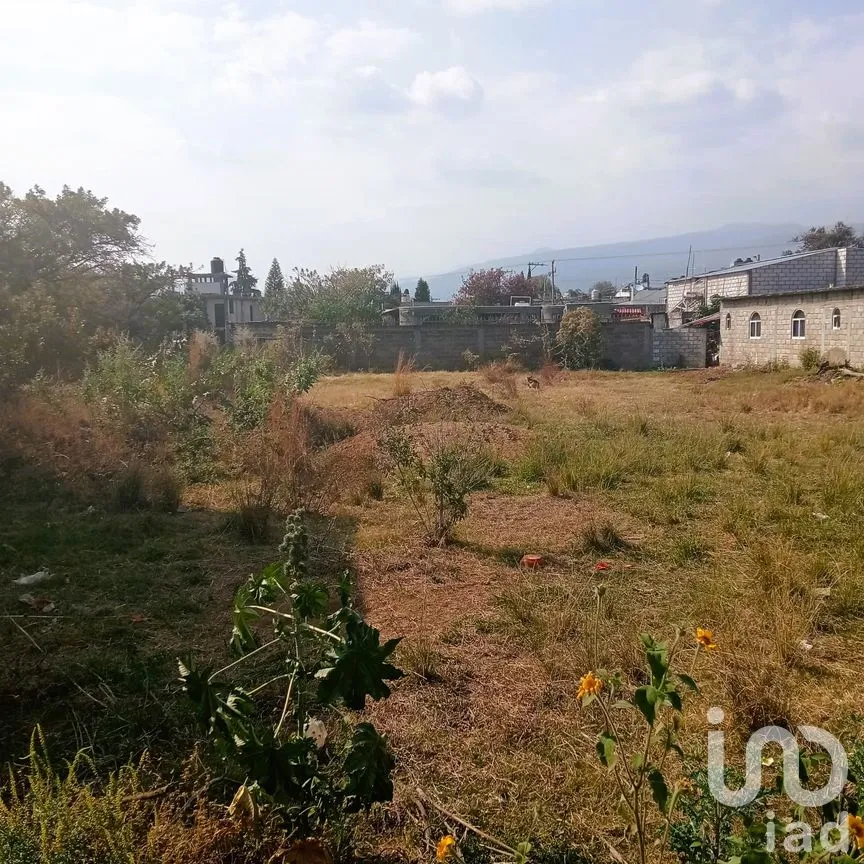 Terreno en Venta en Cuauhtempan (San Andrés Cuautempan), Tlayacapan, Morelos | NEX-246001 | iad México | Foto 5 de 8