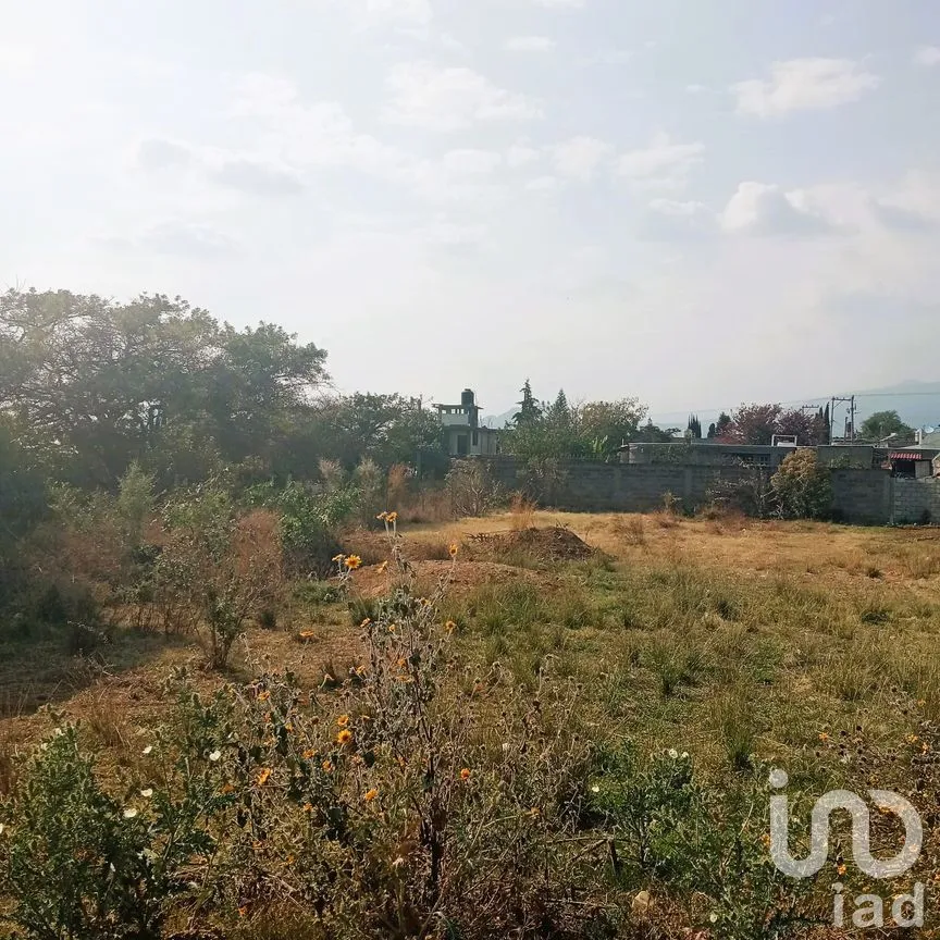 Terreno en Venta en Cuauhtempan (San Andrés Cuautempan), Tlayacapan, Morelos | NEX-246001 | iad México | Foto 6 de 8