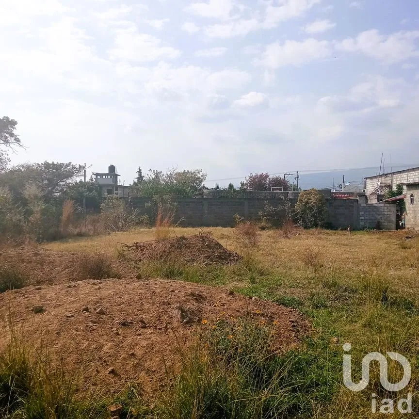 Terreno en Venta en Cuauhtempan (San Andrés Cuautempan), Tlayacapan, Morelos | NEX-246001 | iad México | Foto 7 de 8