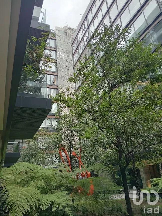 Departamento en Venta en Polanco I Sección, Miguel Hidalgo, Ciudad de México | NEX-255897 | iad México | Foto 33 de 34