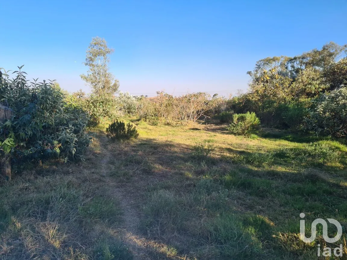 Terreno en Venta en Las Ánimas (Ex-Hacienda las Ánimas), Naucalpan de Juárez, México | NEX-246479 | iad México | Foto 2 de 5