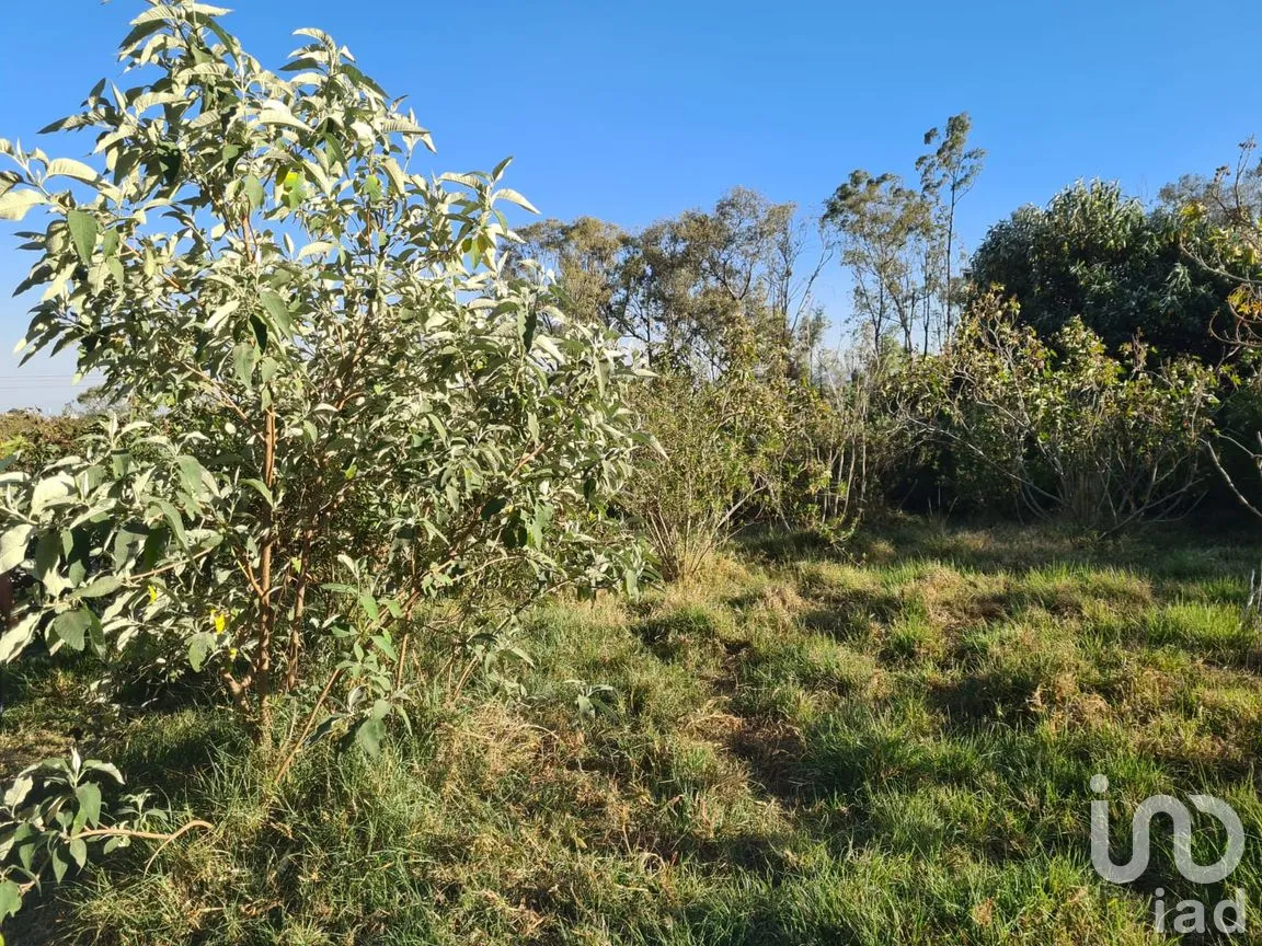 Terreno en Venta en Las Ánimas (Ex-Hacienda las Ánimas), Naucalpan de Juárez, México | NEX-246479 | iad México | Foto 3 de 5