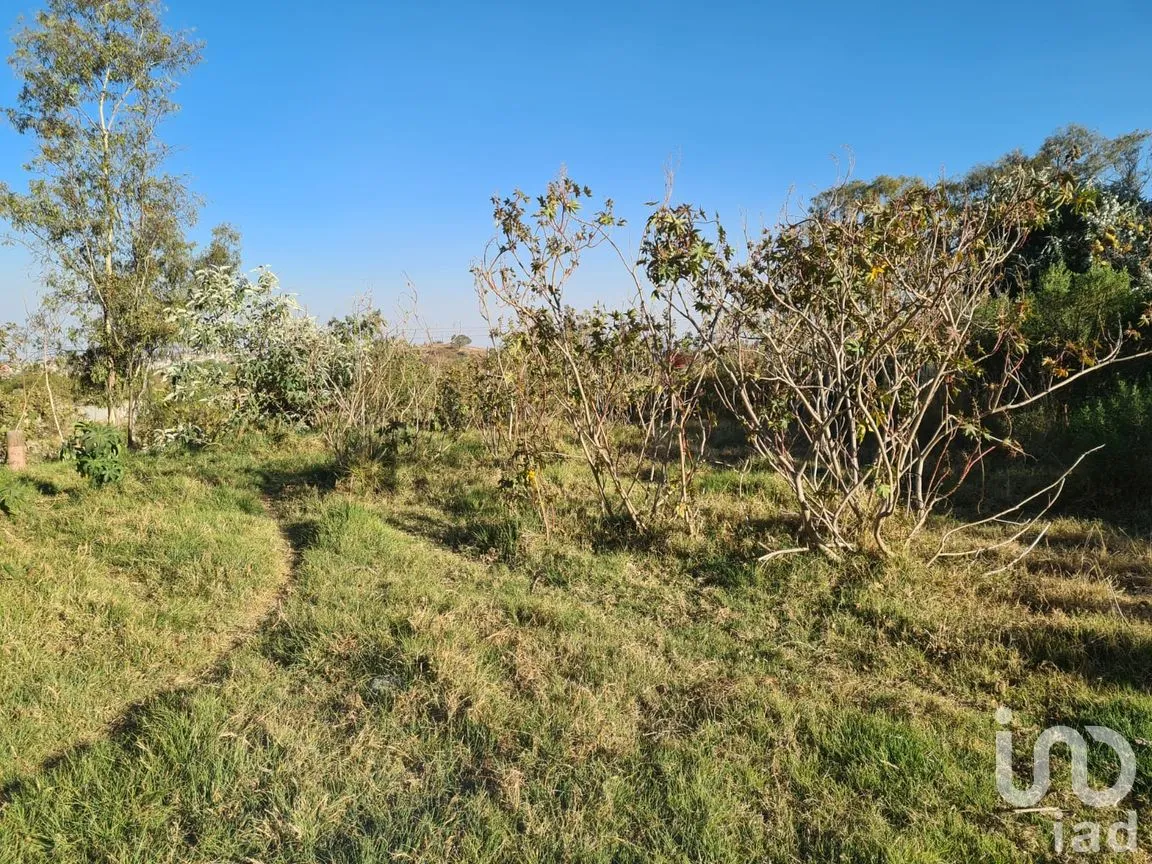 Terreno en Venta en Las Ánimas (Ex-Hacienda las Ánimas), Naucalpan de Juárez, México | NEX-246479 | iad México | Foto 4 de 5