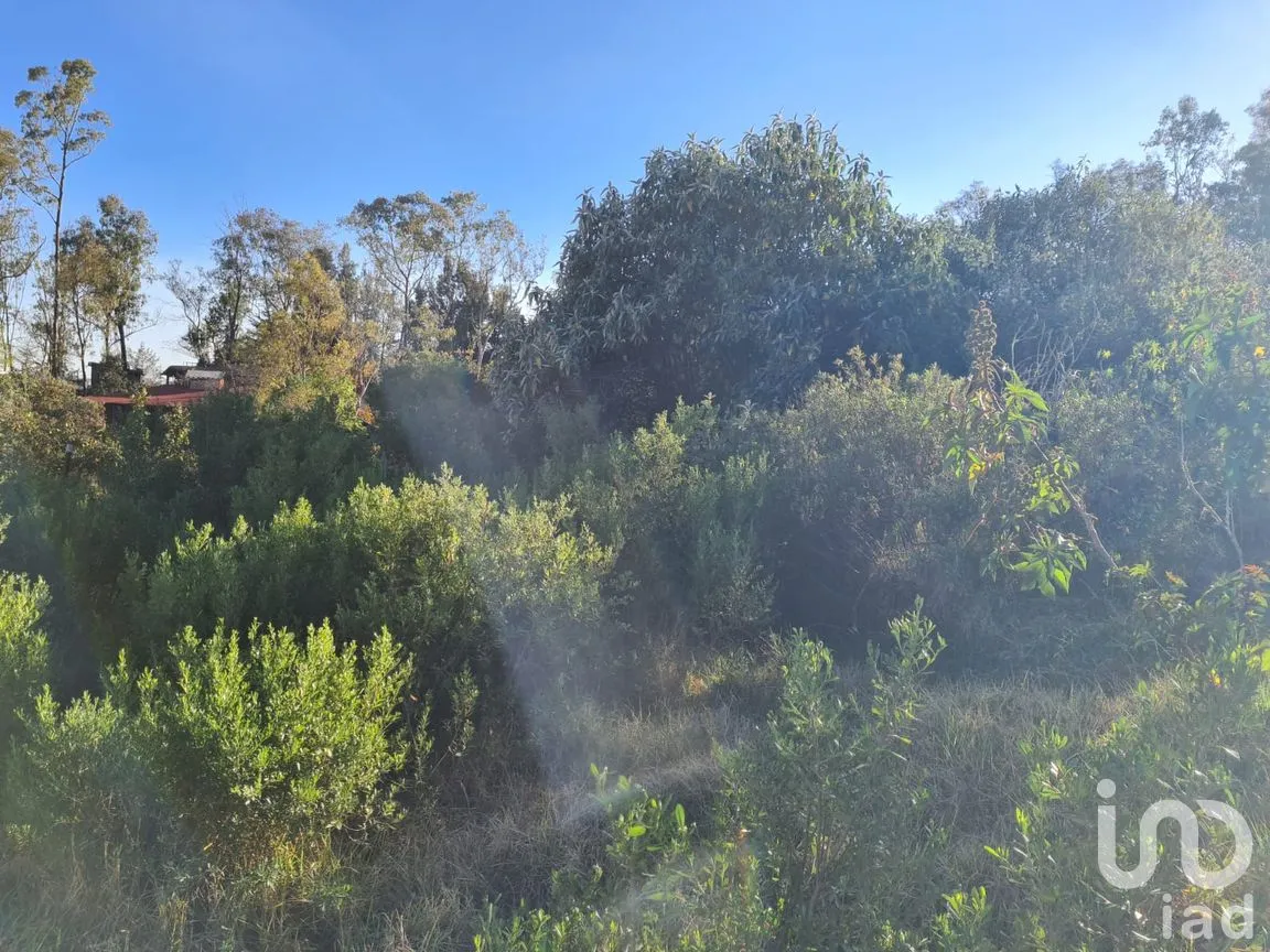 Terreno en Venta en Las Ánimas (Ex-Hacienda las Ánimas), Naucalpan de Juárez, México | NEX-246479 | iad México | Foto 5 de 5