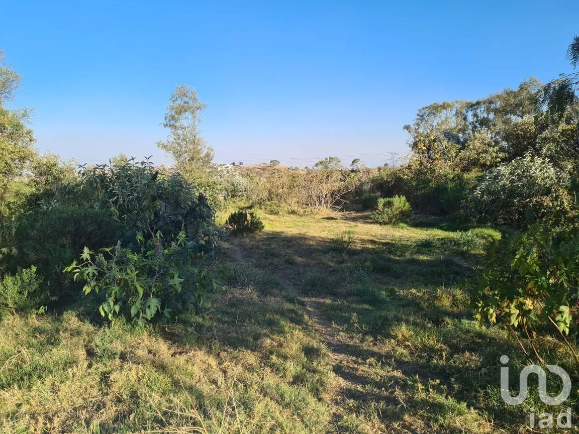Terreno en Venta en Las Ánimas (Ex-Hacienda las Ánimas), Naucalpan de Juárez, México | NEX-246479 | iad México | Foto 1 de 5