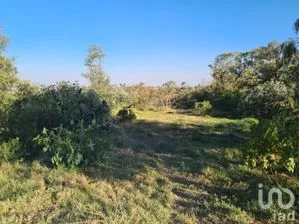 NEX-246479 - Terreno en Venta en Las Ánimas (Ex-Hacienda las Ánimas), CP 53229, México.