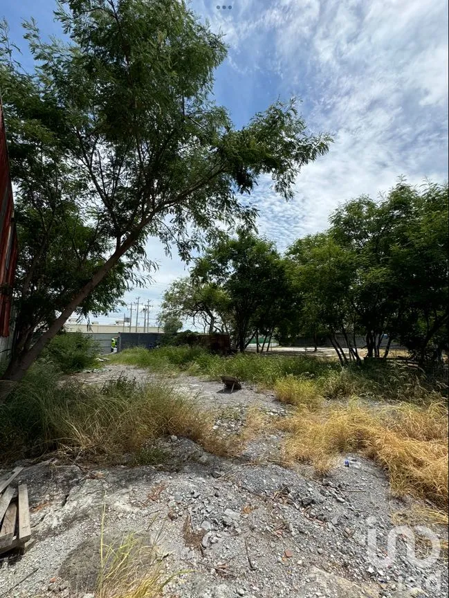 Terreno en Renta en Zacatecas, Pesquería, Nuevo León | NEX-221501 | iad México | Foto 8 de 16