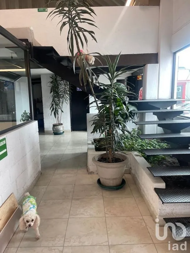 Bodega en Venta en San Nicolás Peralta, Lerma, México | NEX-244590 | iad México | Foto 2 de 6