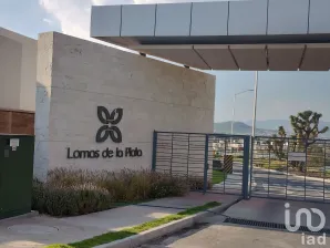 NEX-173475 - Casa en Renta, con 3 recamaras, con 2 baños, con 77 m2 de construcción en Lomas de la Plata, CP 42083, Hidalgo.