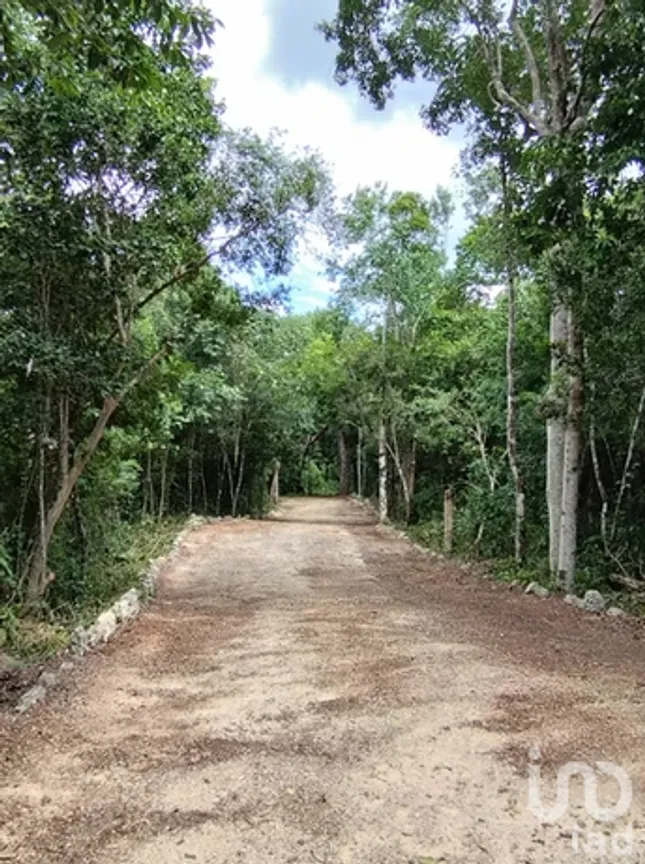 Terreno en Venta en Ciudad Chemuyil, Tulum, Quintana Roo | NEX-185392 | iad México | Foto 6 de 19