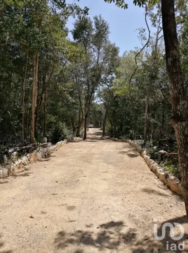 Terreno en Venta en Ciudad Chemuyil, Tulum, Quintana Roo | NEX-185392 | iad México | Foto 7 de 19