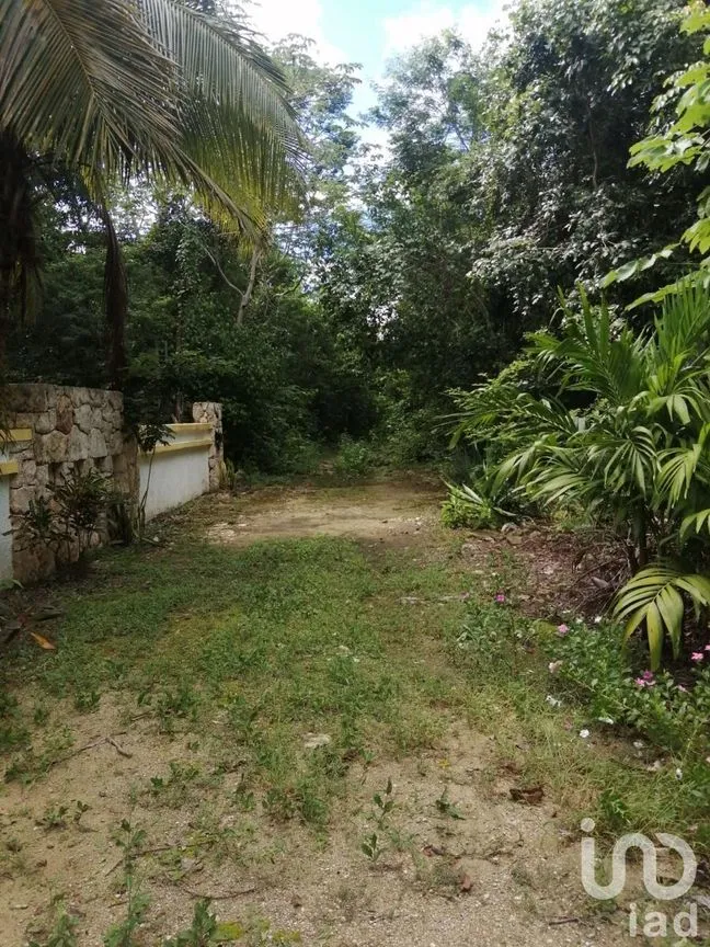 Terreno en Venta en Ciudad Chemuyil, Tulum, Quintana Roo | NEX-185392 | iad México | Foto 8 de 19