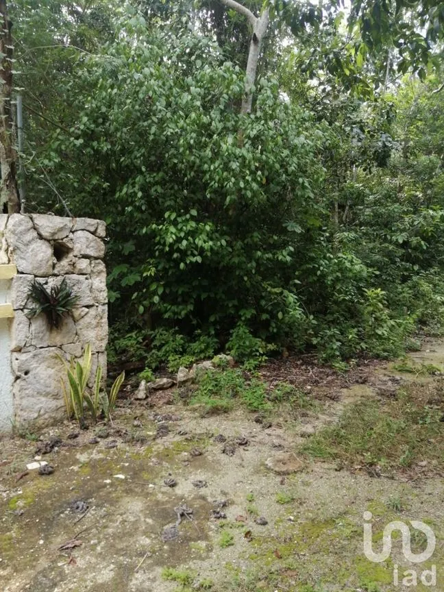 Terreno en Venta en Ciudad Chemuyil, Tulum, Quintana Roo | NEX-185392 | iad México | Foto 9 de 19