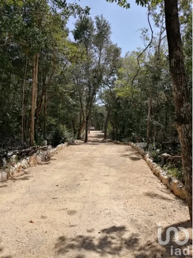 Terreno en Venta en Ciudad Chemuyil, Tulum, Quintana Roo | NEX-202768 | iad México | Foto 12 de 25