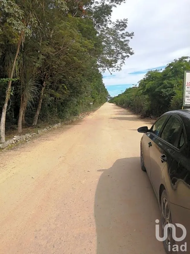Terreno en Venta en Ciudad Chemuyil, Tulum, Quintana Roo | NEX-202768 | iad México | Foto 15 de 25