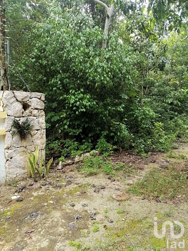 Terreno en Venta en Ciudad Chemuyil, Tulum, Quintana Roo | NEX-202768 | iad México | Foto 7 de 25