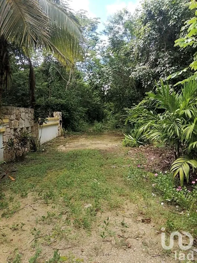 Terreno en Venta en Ciudad Chemuyil, Tulum, Quintana Roo | NEX-202768 | iad México | Foto 10 de 25