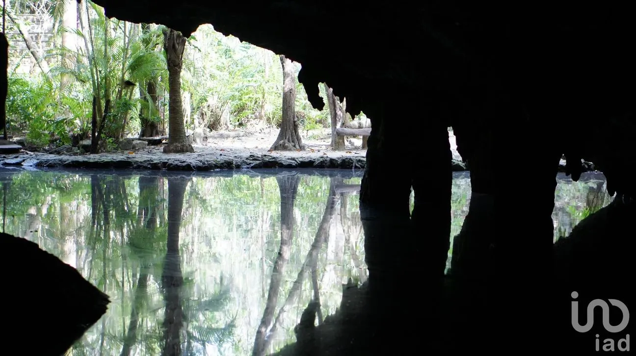 Terreno en Venta en Ciudad Mayakoba, Solidaridad, Quintana Roo | NEX-222026 | iad México | Foto 3 de 7