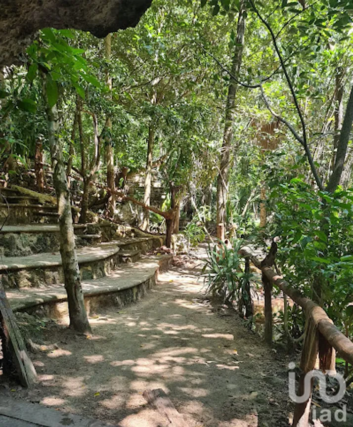 Terreno en Venta en Ciudad Mayakoba, Solidaridad, Quintana Roo | NEX-222026 | iad México | Foto 6 de 7