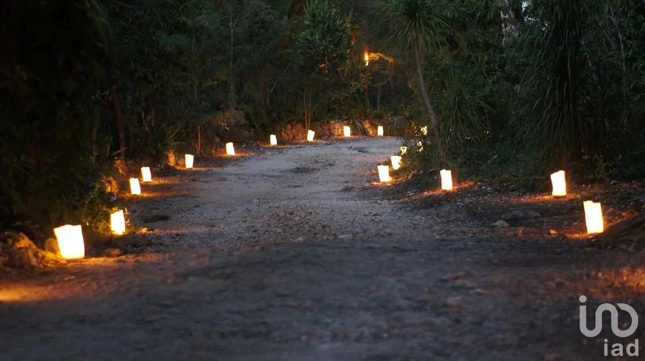 Terreno en Venta en Ciudad Mayakoba, Solidaridad, Quintana Roo | NEX-222026 | iad México | Foto 7 de 7