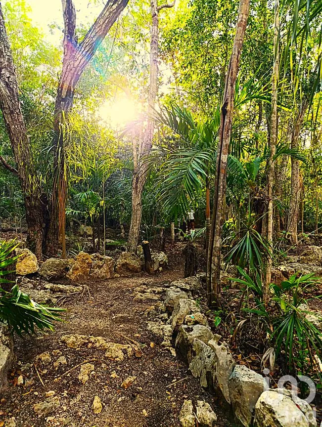 Terreno en Venta en La Guadalupana, Solidaridad, Quintana Roo | NEX-251434 | iad México | Foto 2 de 17