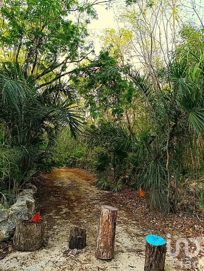 Terreno en Venta en La Guadalupana, Solidaridad, Quintana Roo | NEX-251434 | iad México | Foto 12 de 17