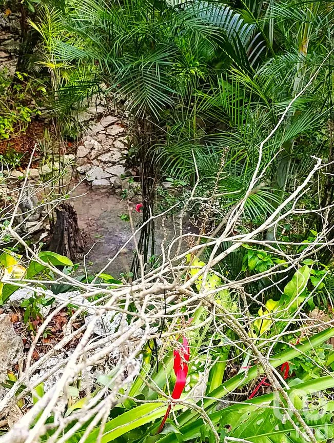 Terreno en Venta en La Guadalupana, Solidaridad, Quintana Roo | NEX-251434 | iad México | Foto 13 de 17